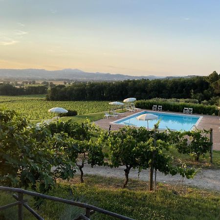 Poggio Alle Vigne Torgiano Bagian luar foto