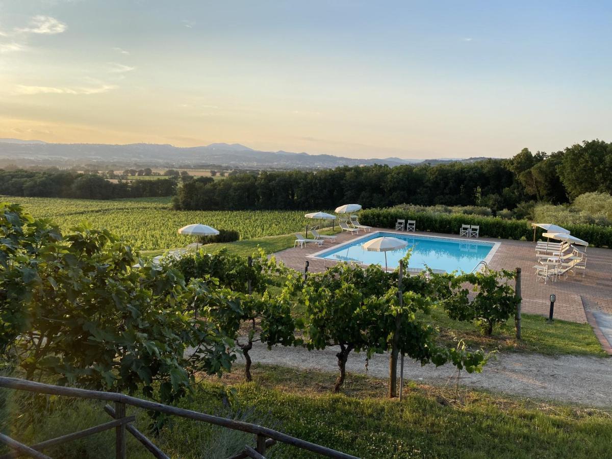 Poggio Alle Vigne Torgiano Bagian luar foto