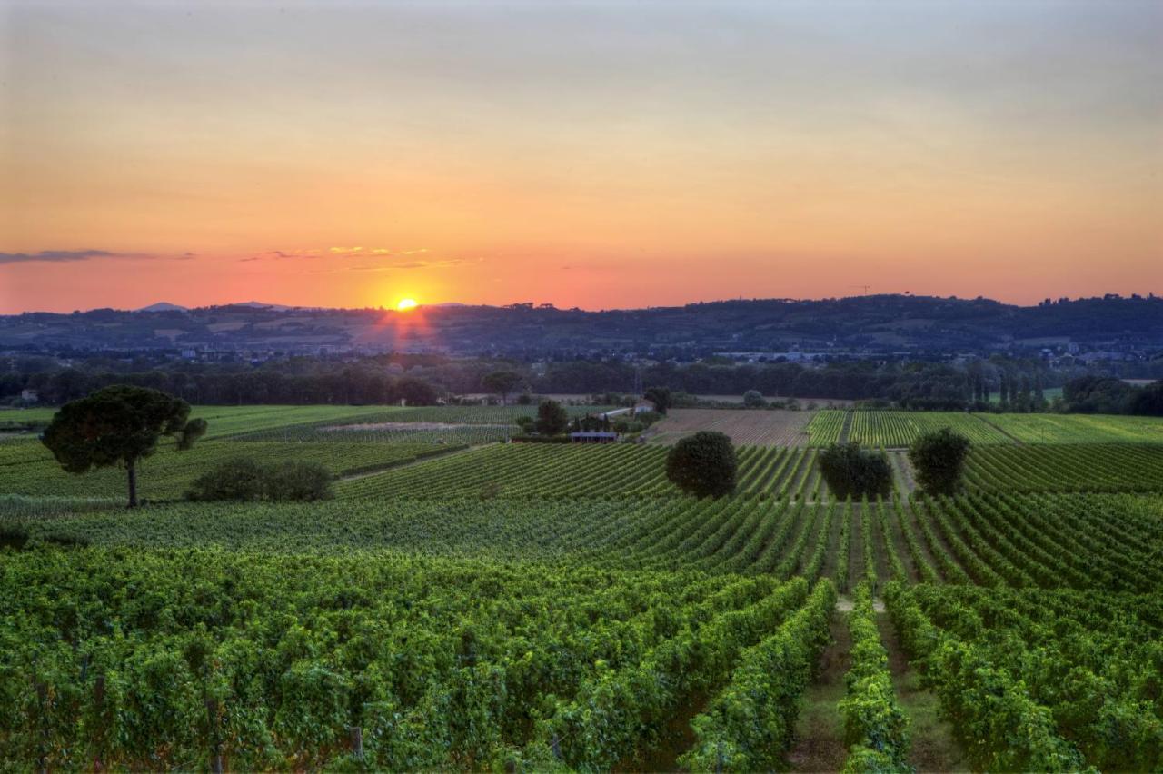 Poggio Alle Vigne Torgiano Bagian luar foto