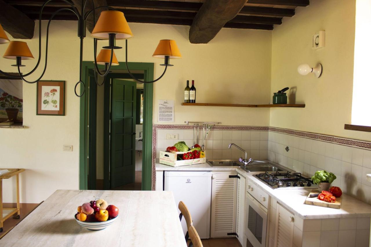 Poggio Alle Vigne Torgiano Bagian luar foto