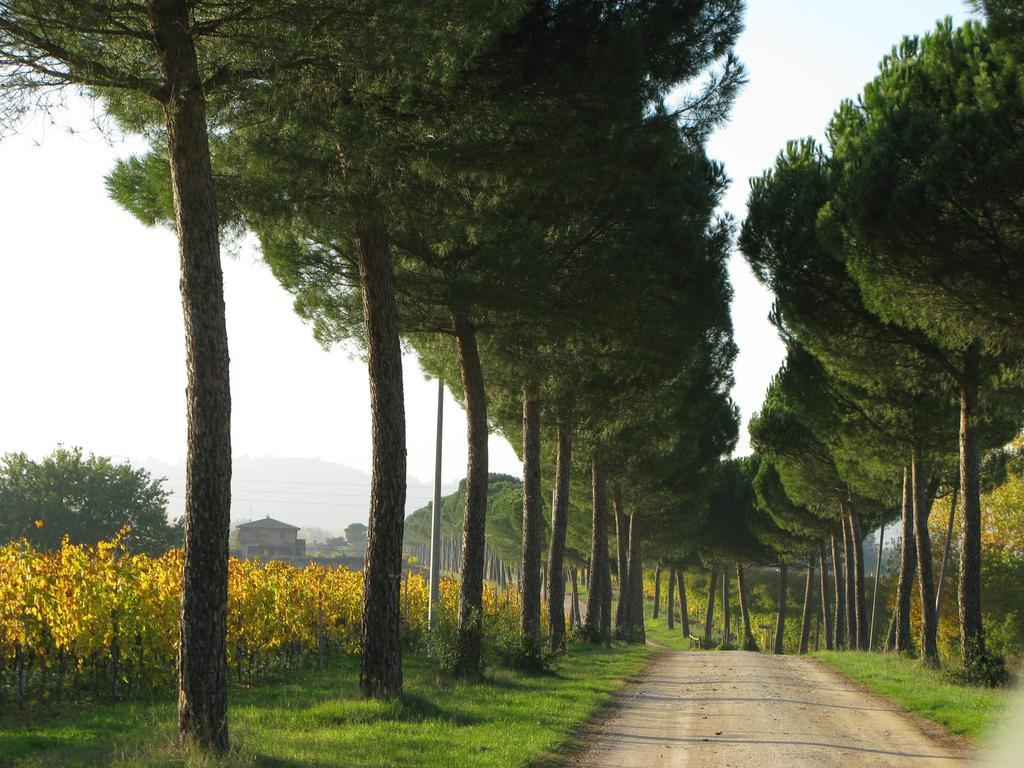 Poggio Alle Vigne Torgiano Bagian luar foto