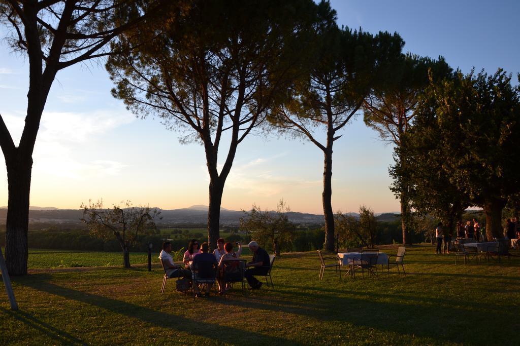 Poggio Alle Vigne Torgiano Bagian luar foto
