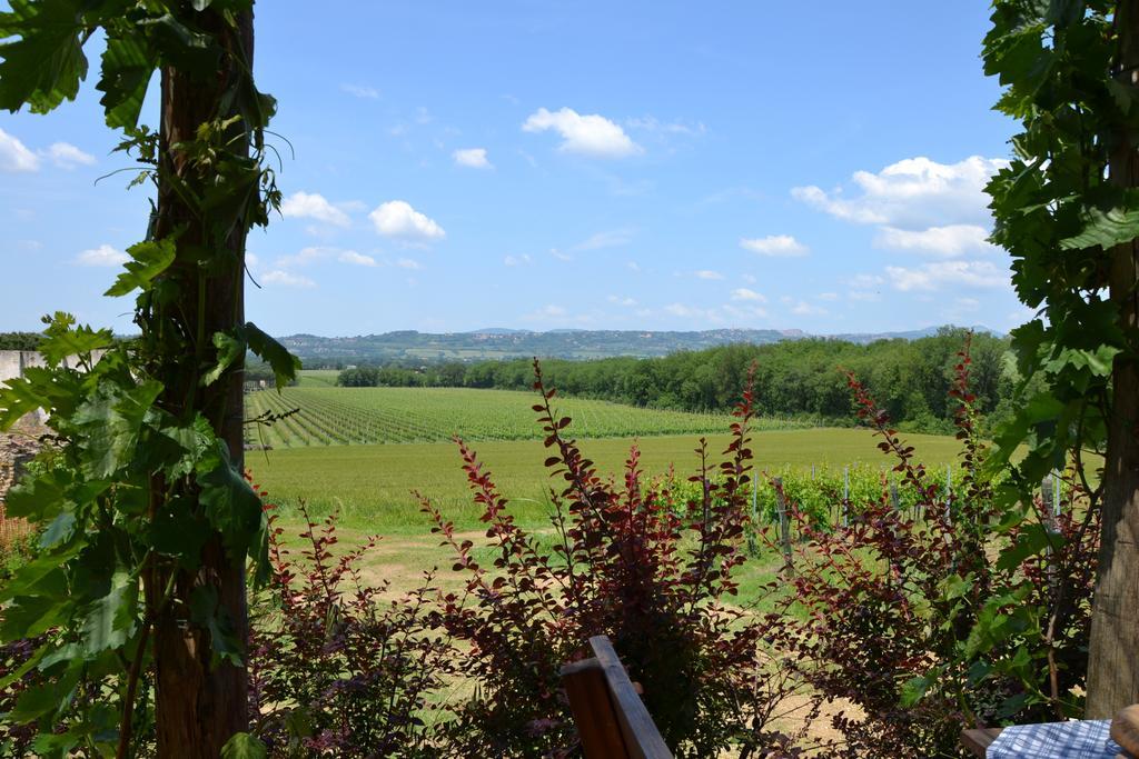Poggio Alle Vigne Torgiano Bagian luar foto